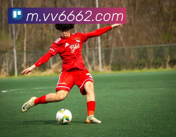v66品牌故事